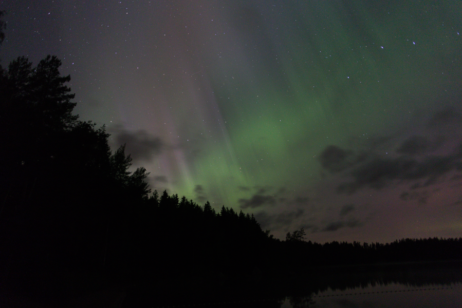 Vibrant aurora borealis illuminating a starry night sky above a forest and reflective lake, showcasing the natural wonder of polar light phenomena.
